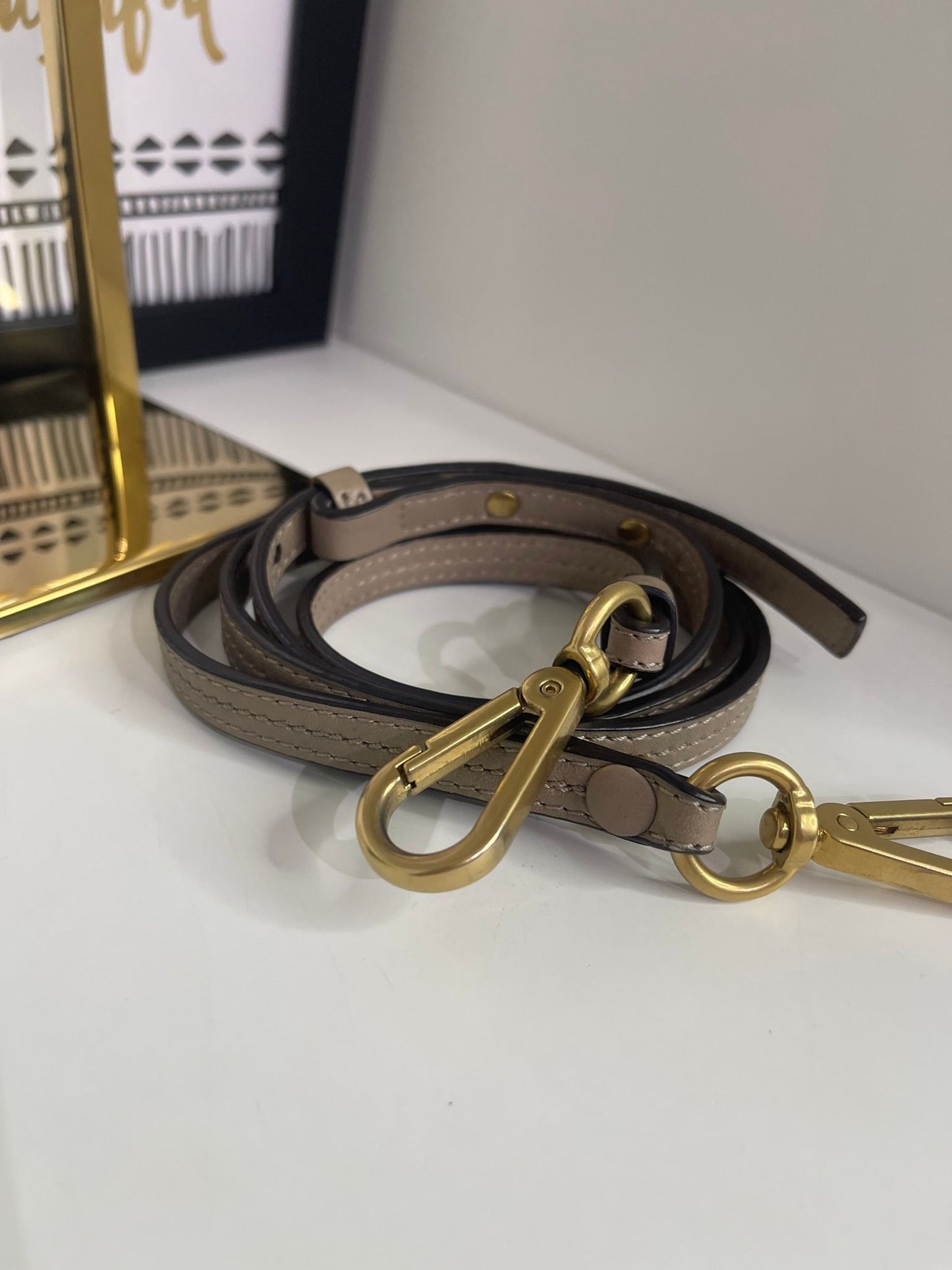 19. Chloe Nile Bracelet Bag 2 Way (Greige)
