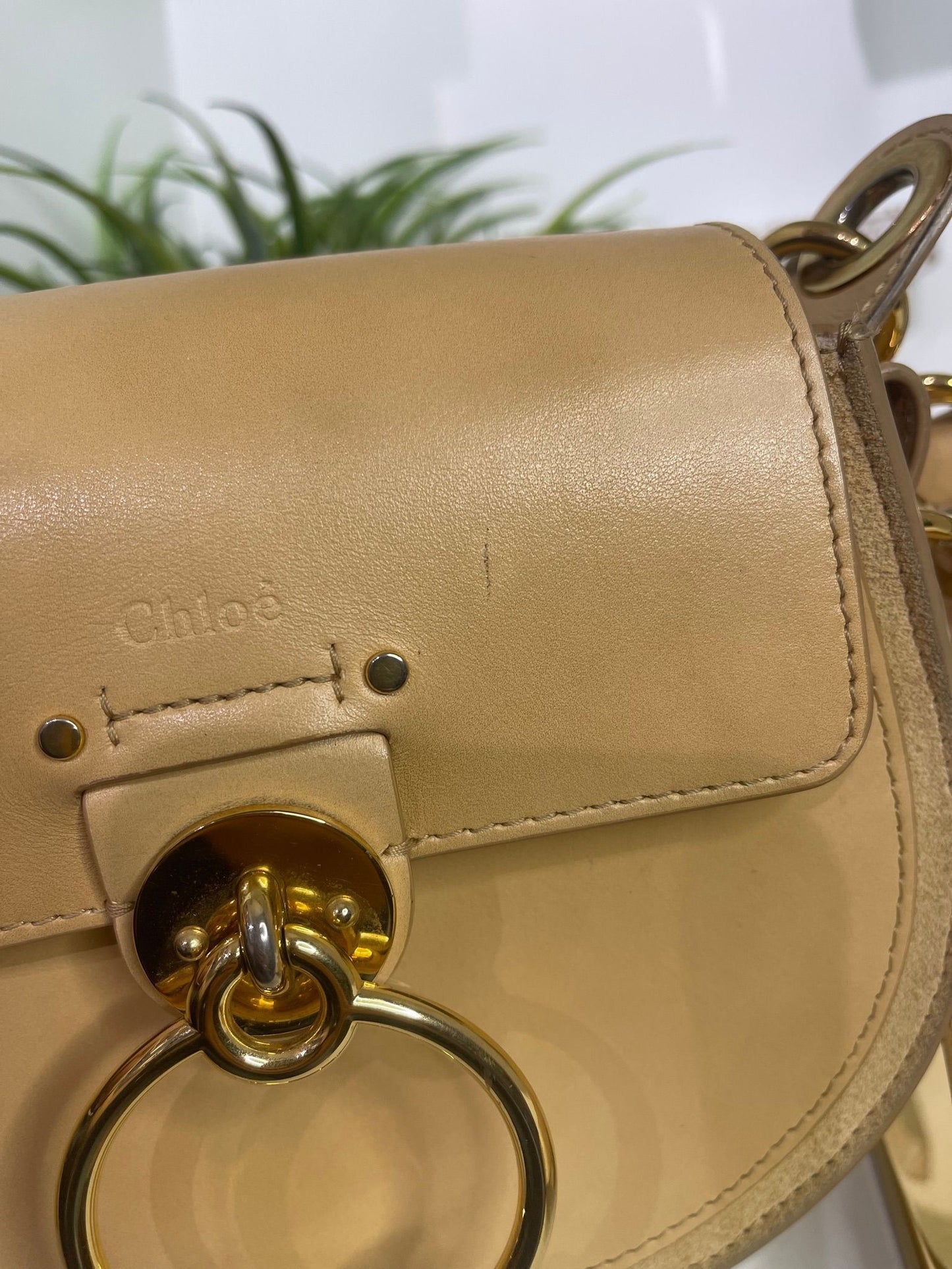 56. Chloe Tess 2 Way