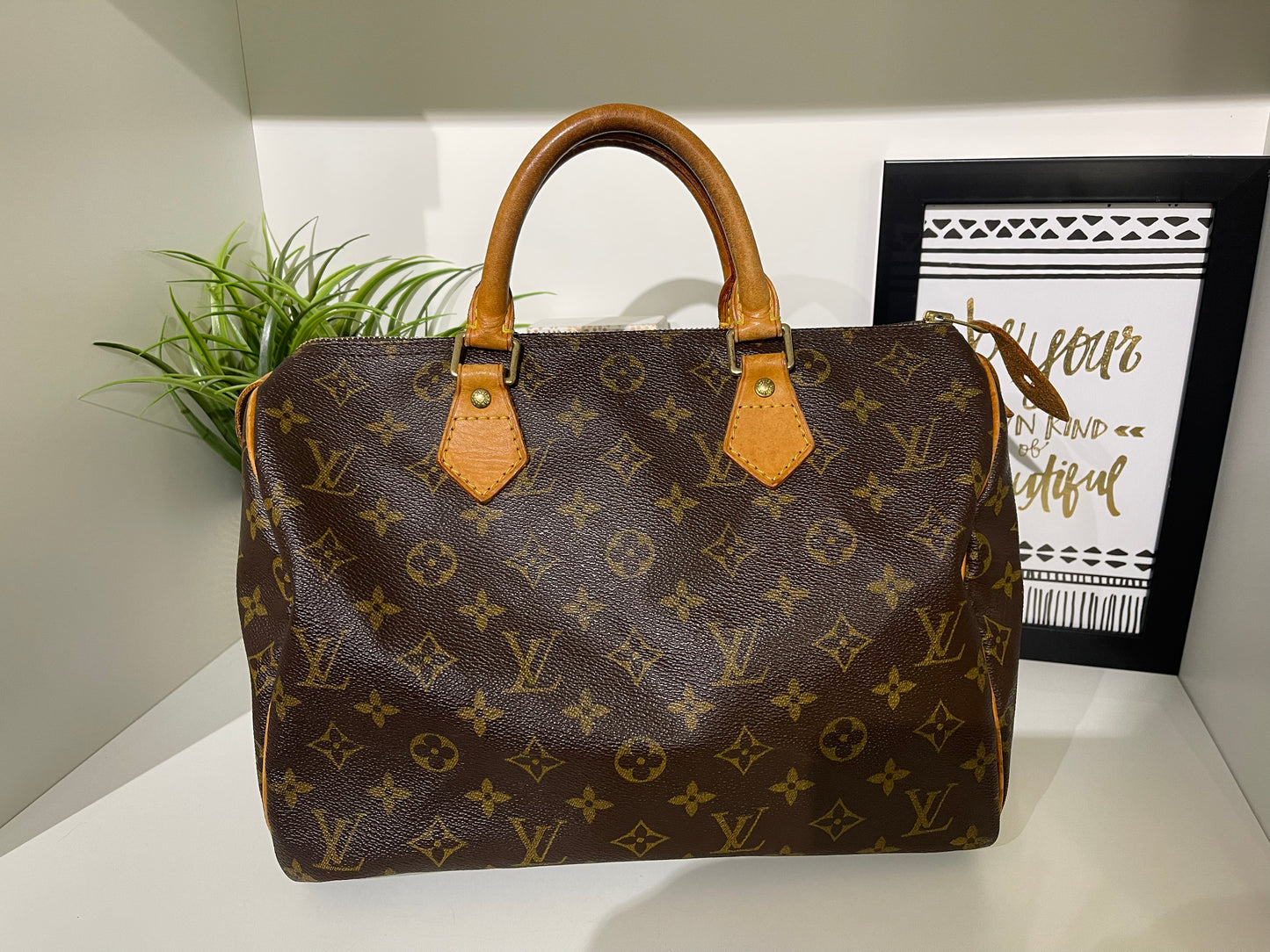 Louis Vuitton Speedy 30