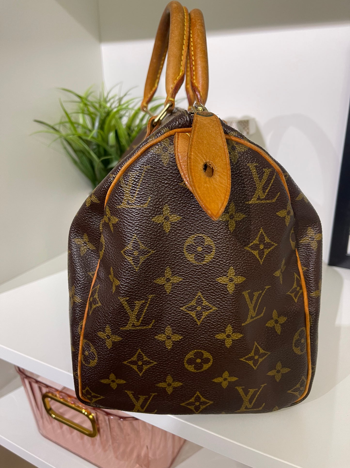 Louis Vuitton Speedy 30