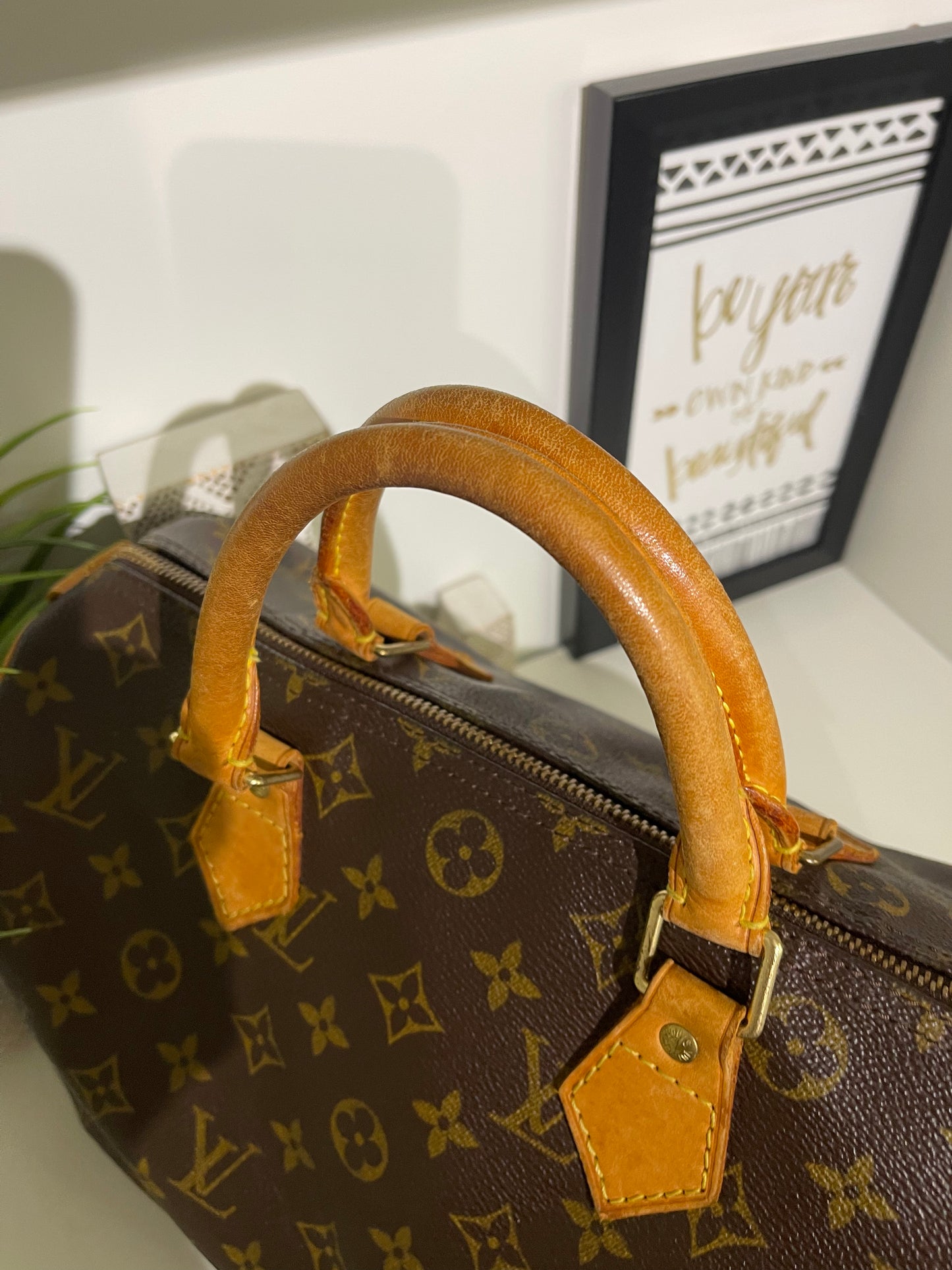 Louis Vuitton Speedy 30