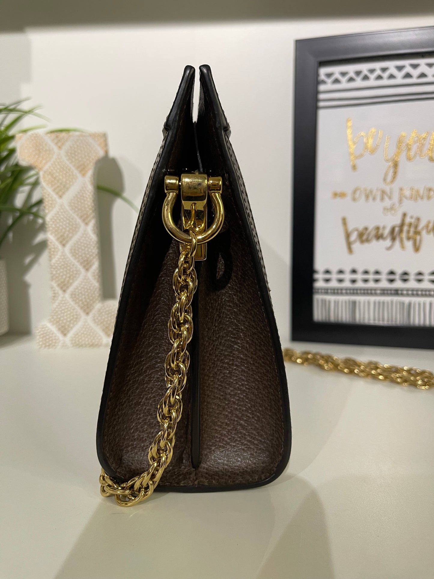 Gucci Supreme Ophidia Chain Shoulder Bag