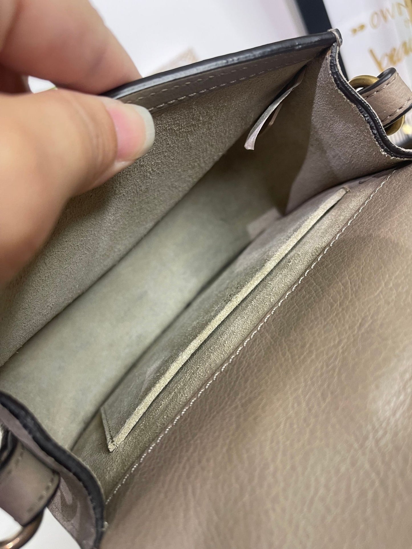 19. Chloe Nile Bracelet Bag 2 Way (Greige)