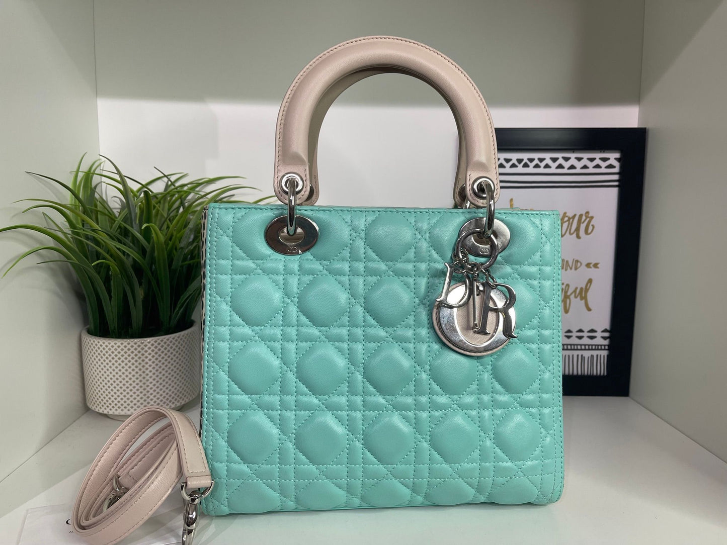 64. Christian Dior Medium Python Lady Dior