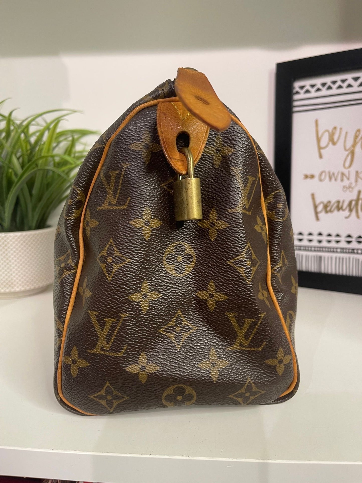 61. Louis Vuitton Monogram Speedy 25