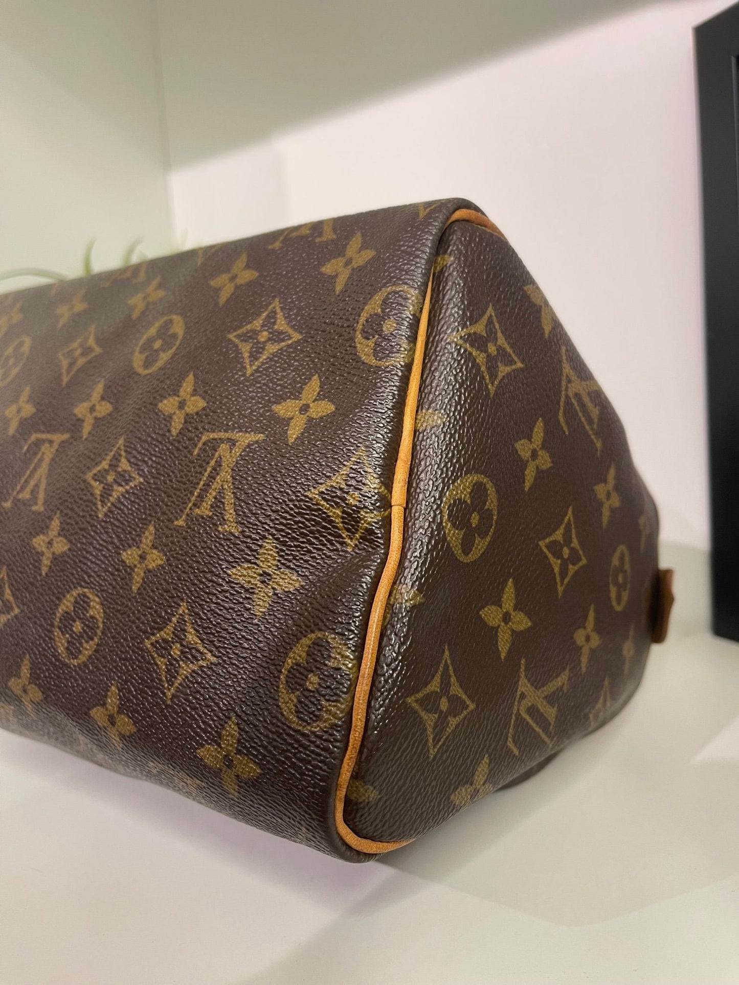 61. Louis Vuitton Monogram Speedy 25