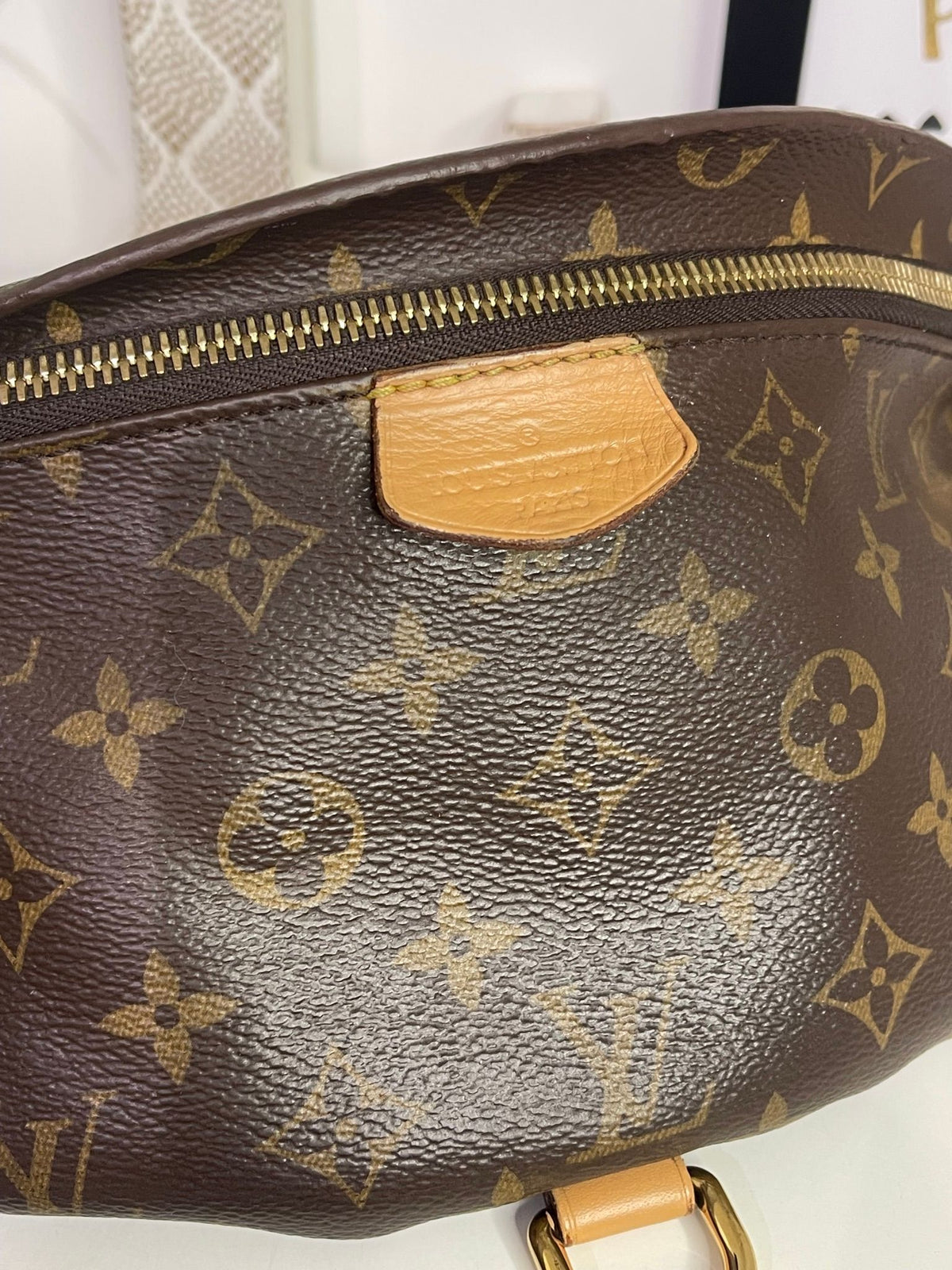 72. Louis Vuitton Monogram Bumbag