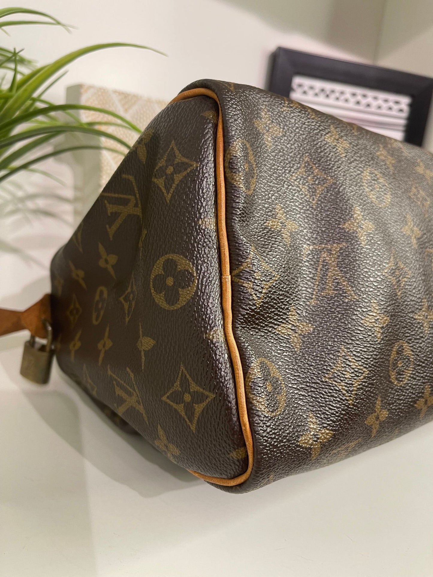 61. Louis Vuitton Monogram Speedy 25