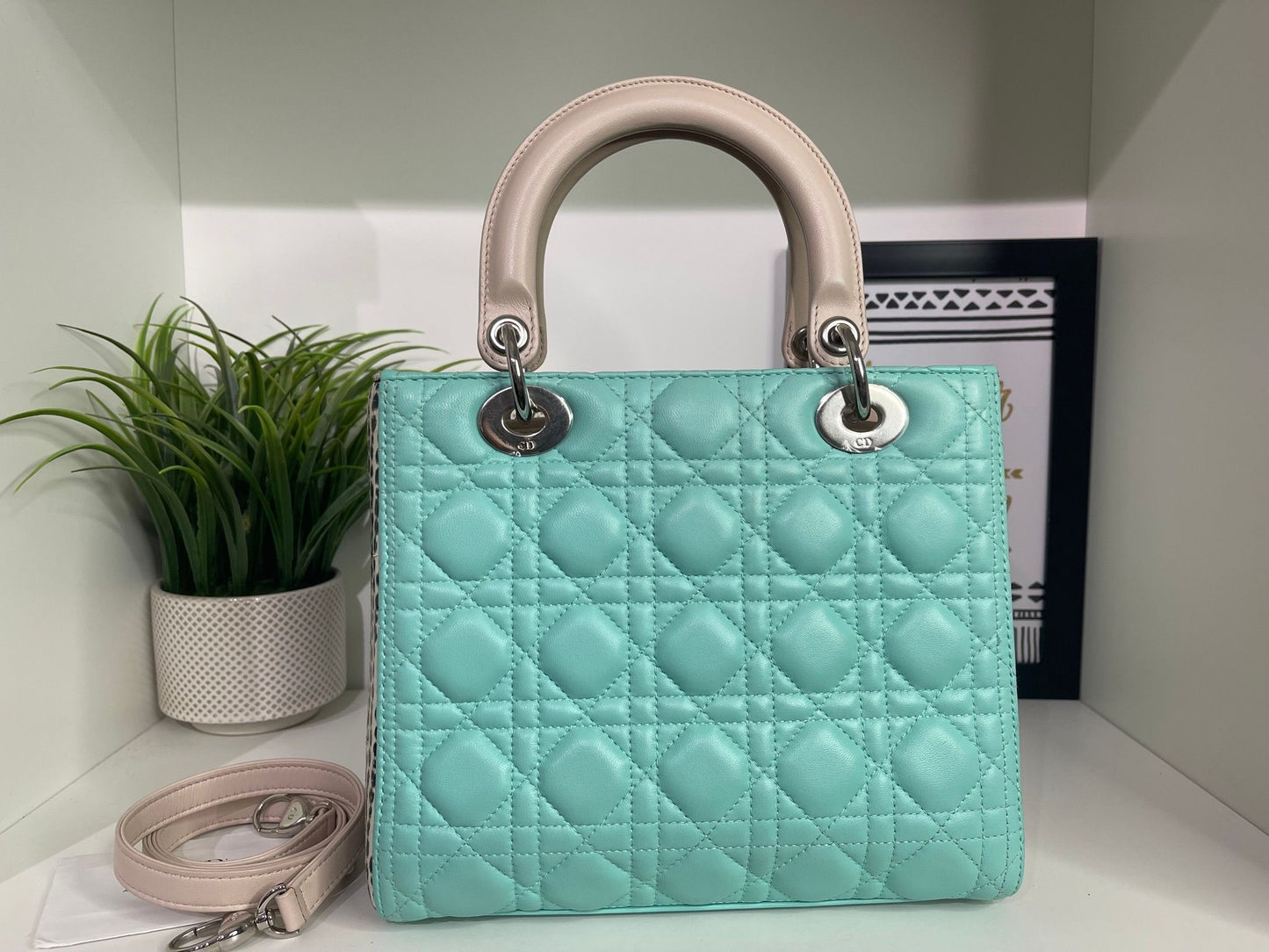 64. Christian Dior Medium Python Lady Dior