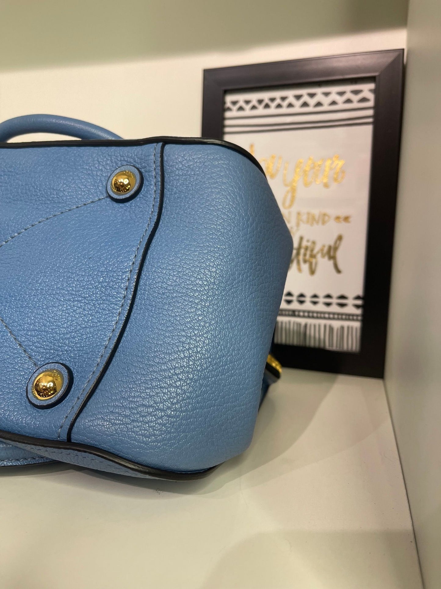 104. Miumiu Top Handle Leather 2 Way